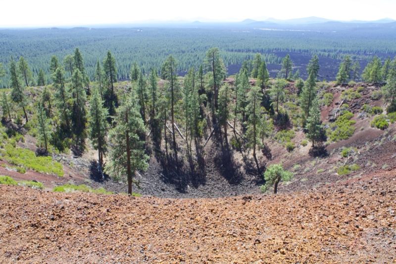 Volcanic Crater Rim with Pine Forest