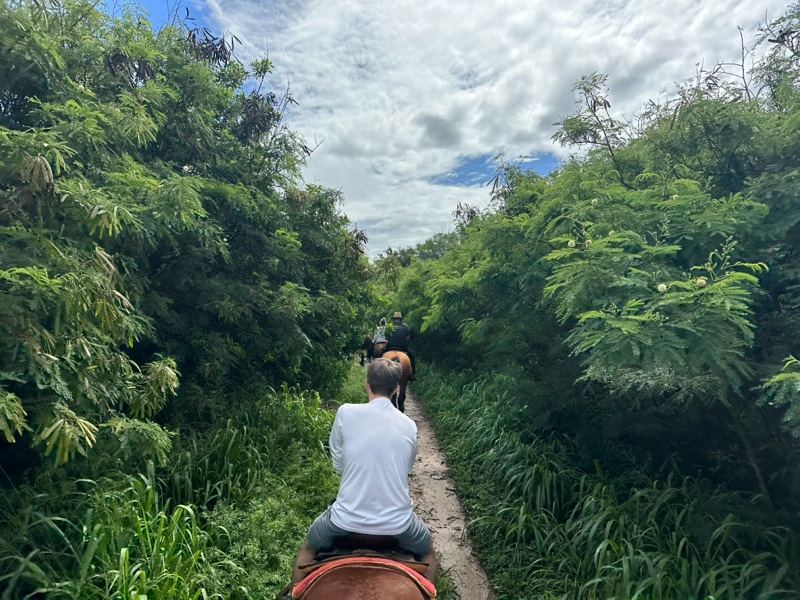 Horseback Ride Through Lush Trail