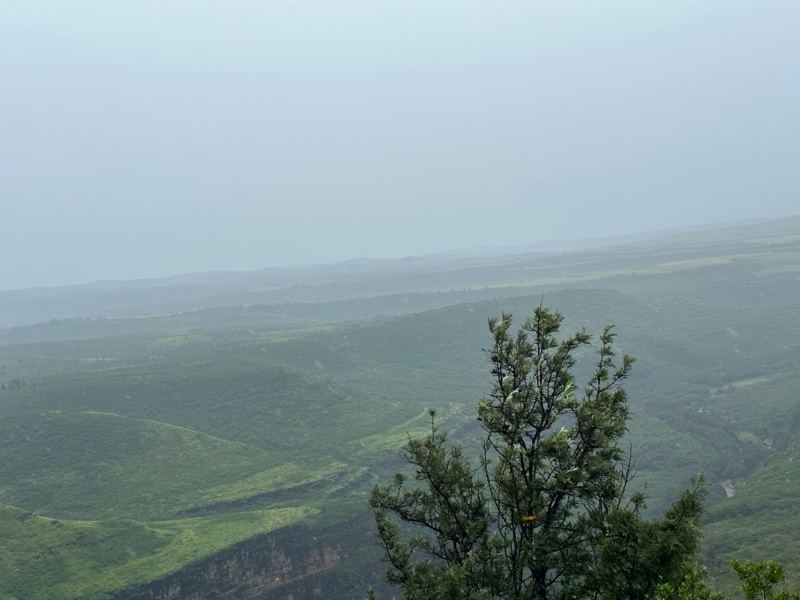 Misty Valley Overlook With Tree Foreground