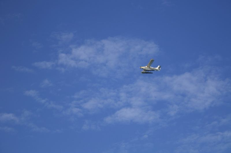 Airplane Flying in Blue Sky