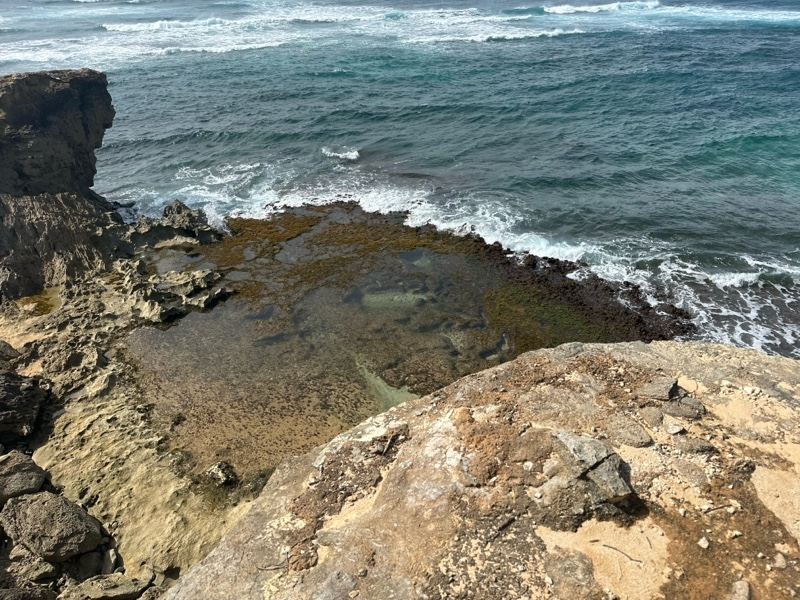 Rocky Coastal Shoreline With Ocean Waves
