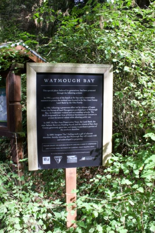 Watough Bay Sign in Forest