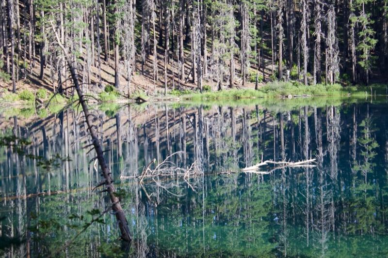 Turquoise Mountain Lake Forest Reflection