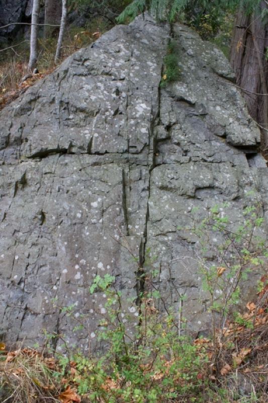 Large Gray Boulder in Forest