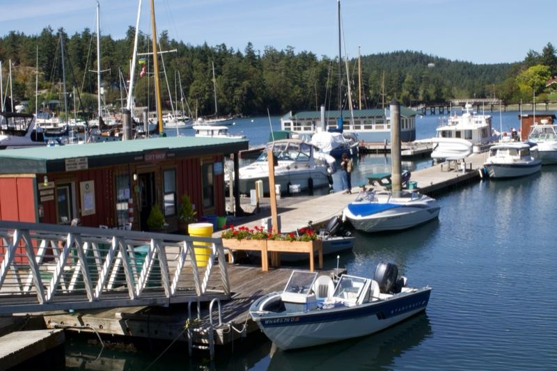 Boats docked at coastal marina
