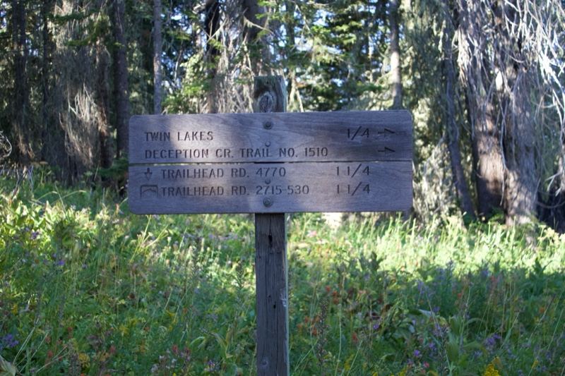 Wooden Trail Sign in Forest