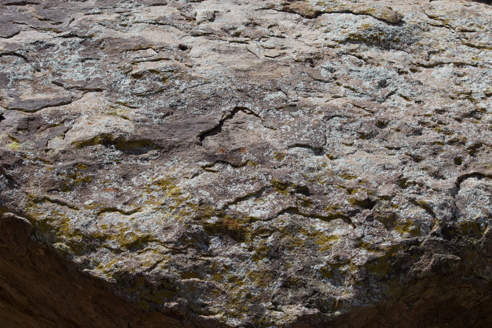 Weathered Rock Surface with Lichen