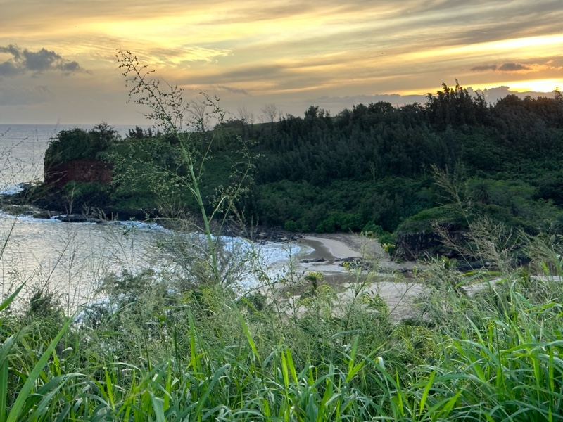 Coastal Sunset Over Lush Green Headland