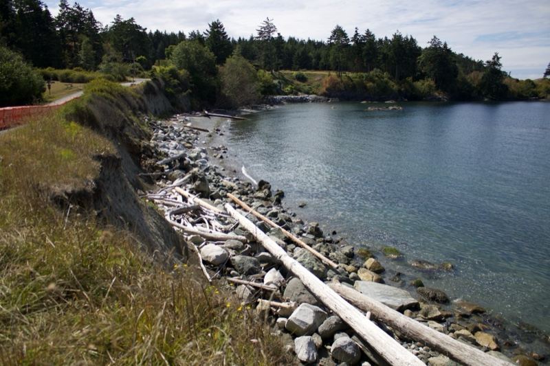 Rocky Coastal Shoreline with Driftwood