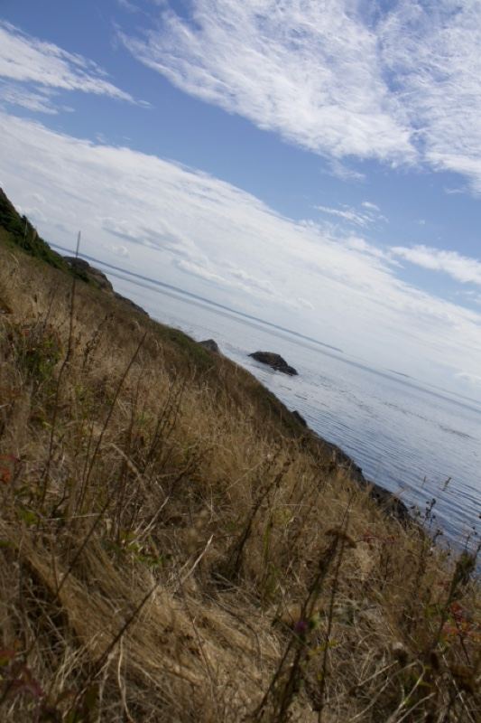 Coastal Grassy Bluff Overlooking Sea