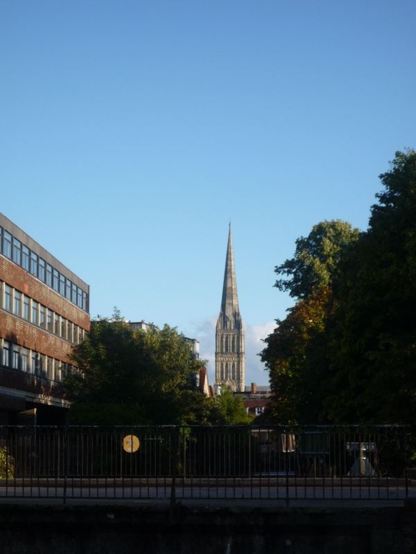 Church spire viewed through trees