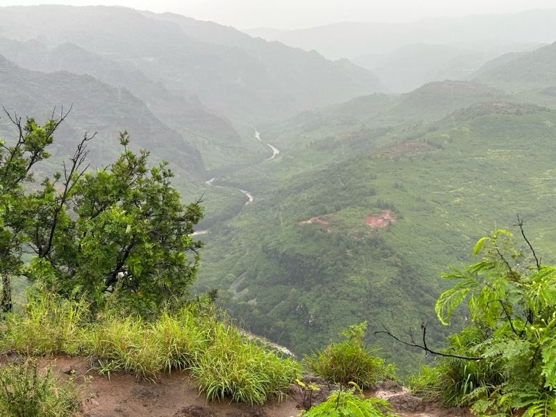 Misty Green Mountain Valley View