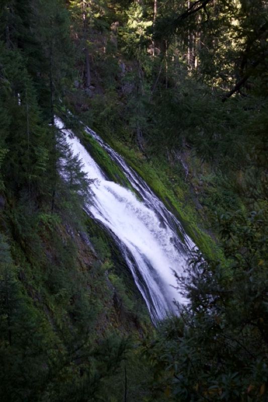 Forest Waterfall Cascading Down Cliff