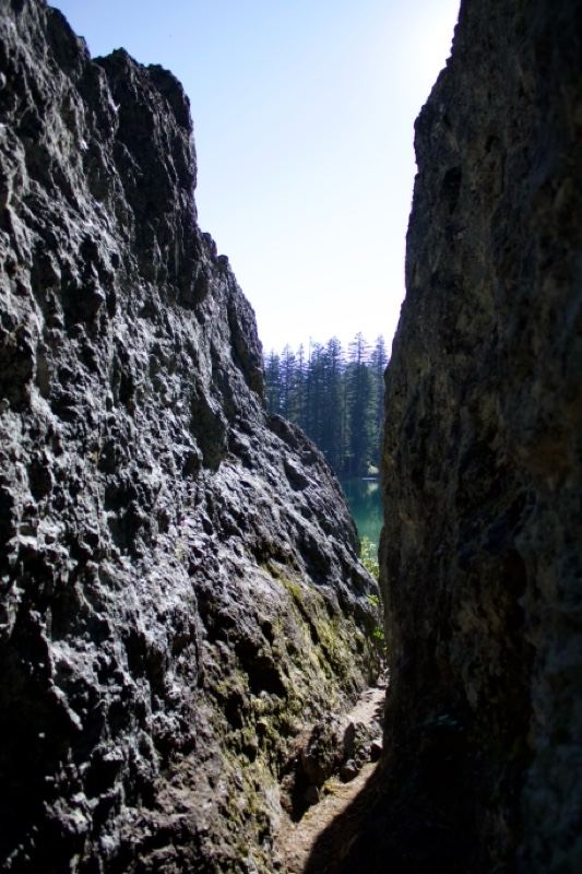 Narrow Rock Gorge With Forest Beyond