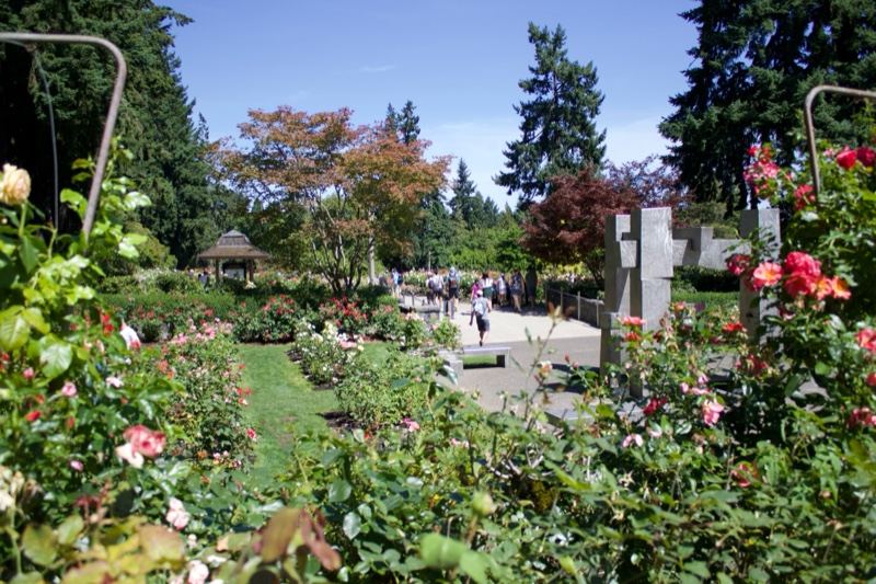 Rose Garden Park Pathway View