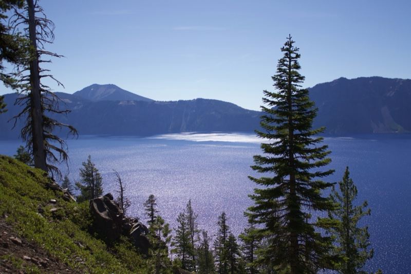 Crater Lake Vista with Pine Trees