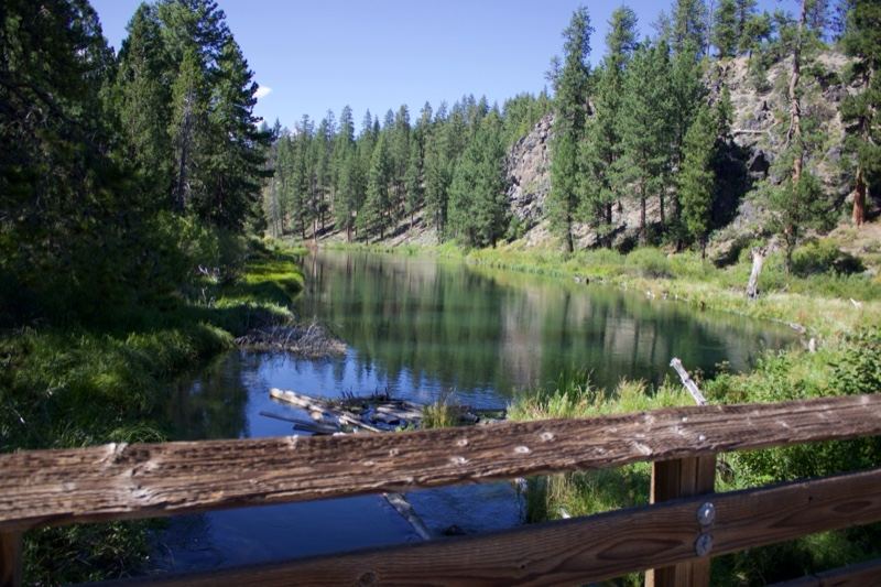 Forest River View From Wooden Bridge