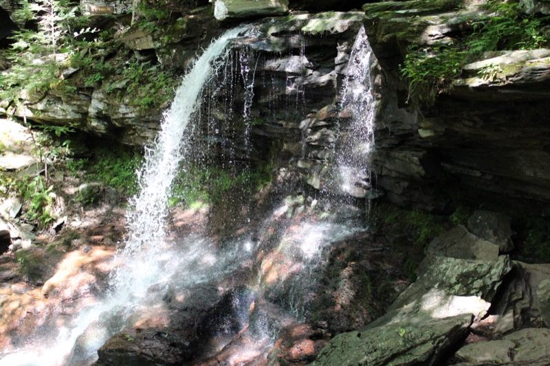 Forest Waterfall Cascading Over Rocks