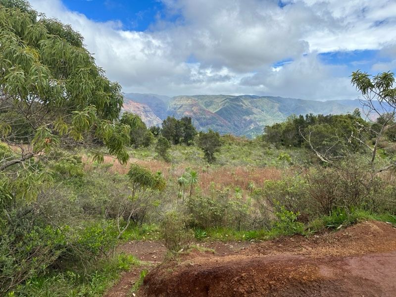 Lush Valley Under Cloudy Sky