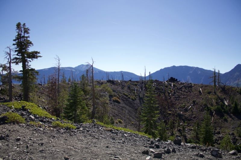 Mountain Landscape After Fire