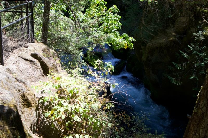Forest Stream in Rocky Gorge