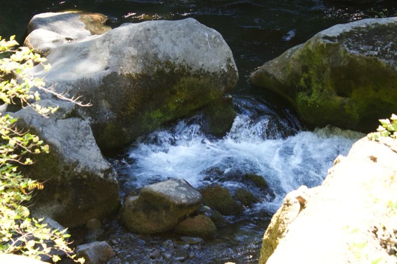 Mountain Stream Rapids Over Rocks