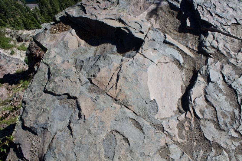 Dinosaur footprint in rock surface