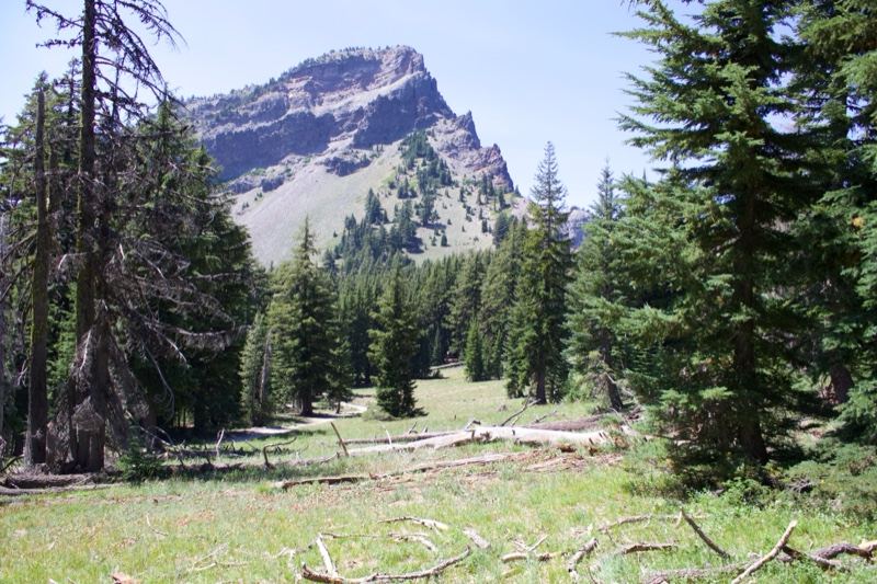 Mountain Peak Above Forest Meadow
