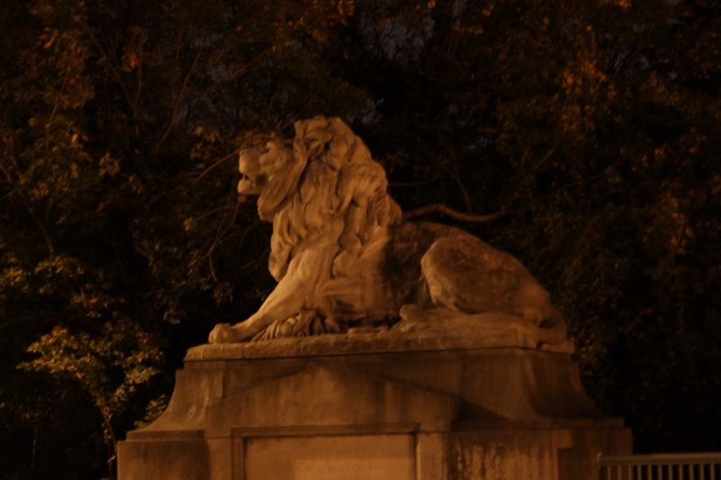 Lion Statue Illuminated at Night
