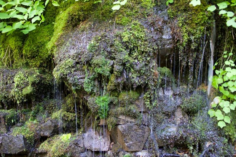 Mossy Rock Waterfall Trickle