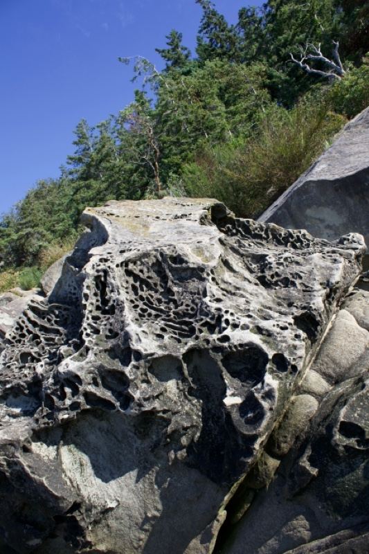 Weathered Pitted Rock Formation