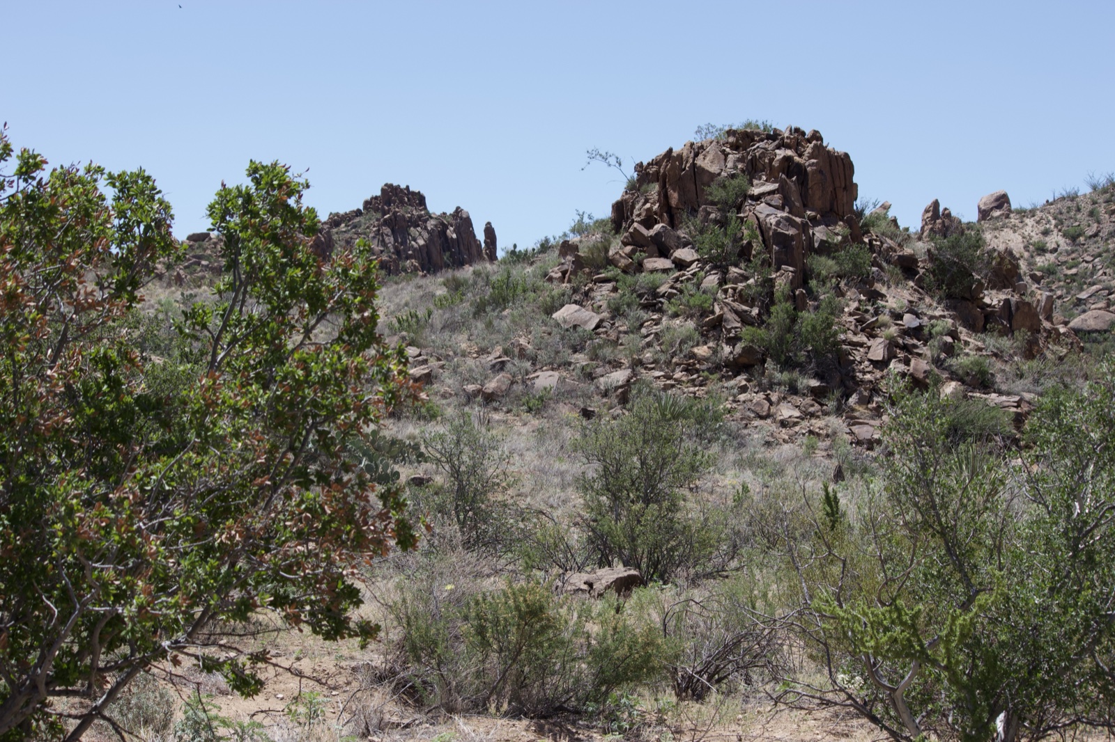 Arid Rocky Desert Landscape with Shrubs