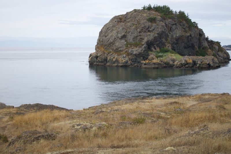 Rocky Islet Off Grassy Coastline