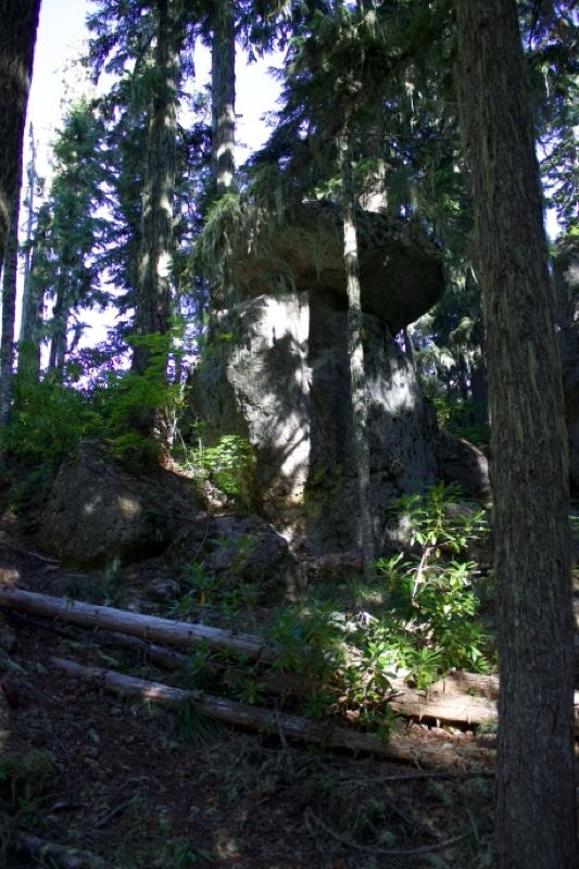 Mossy Rock in Forest Clearing