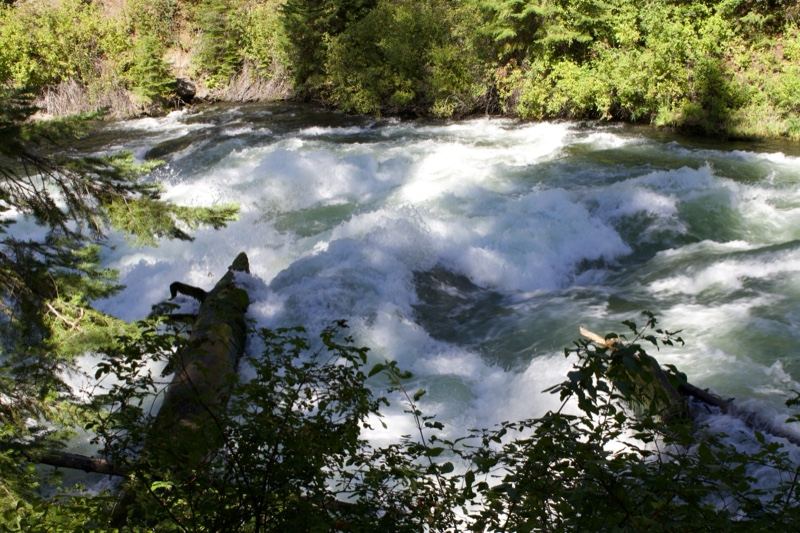 Whitewater Rapids Through Forest