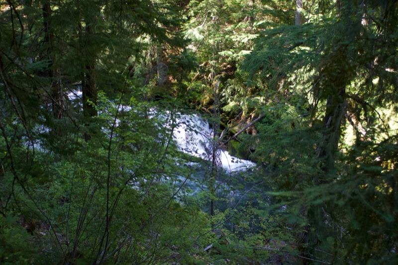Forest View of Sunlit Stream Below