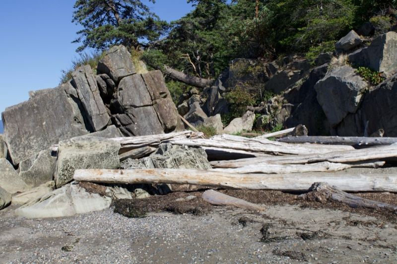 Driftwood on Rocky Beach Shore