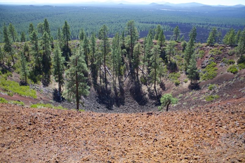 Volcanic Crater Overlook with Pines