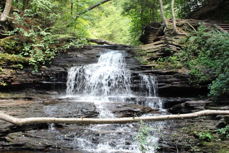 Forest Waterfall Cascading Over Rocks