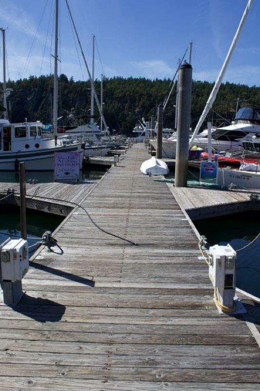 Wooden Marina Dock With Sailboats