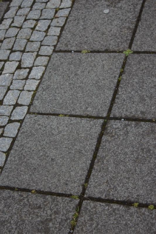 Gray Cobblestone Pavement Close Up