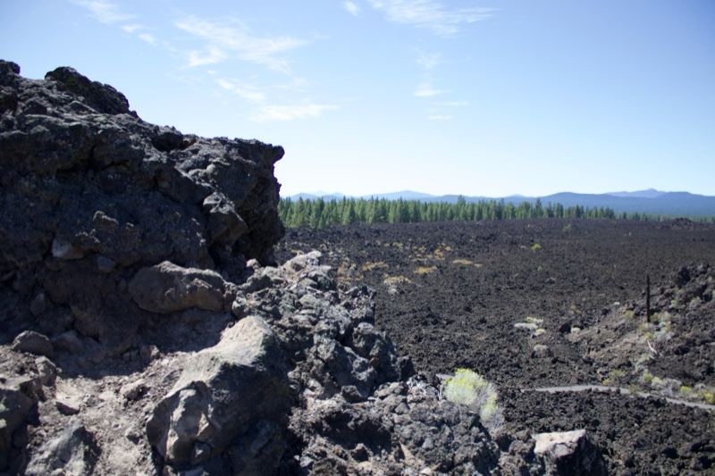 Lava Field With Distant Tree Line