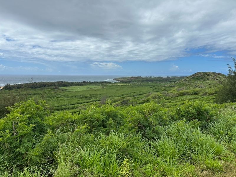 Lush Green Hills Overlooking Valley