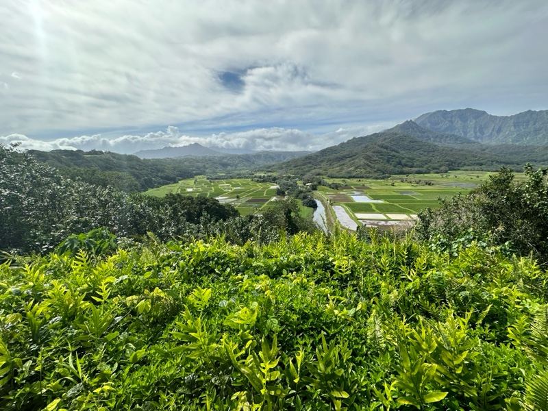 Lush Valley Overlooking Mountains