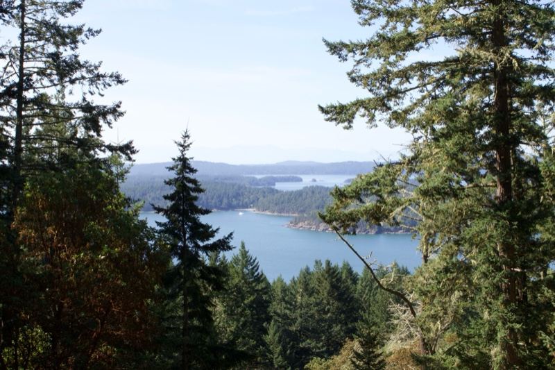 Forest Overlook of Lake and Hills