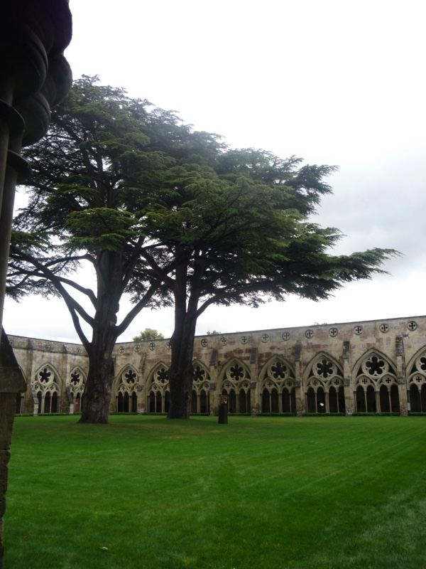 Cloister Courtyard with Tall Trees