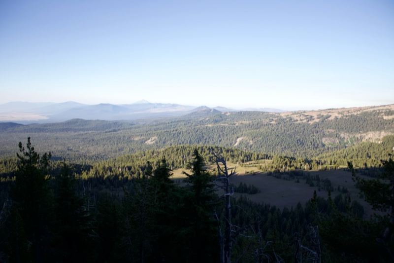 Mountain Valley View Through Trees