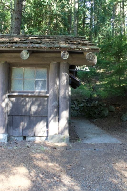 Log cabin in forest