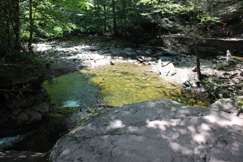Sunlit Forest Stream Pool