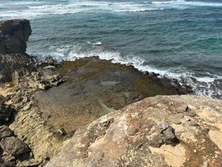 Rocky Coastline Overlooking Ocean Waves
